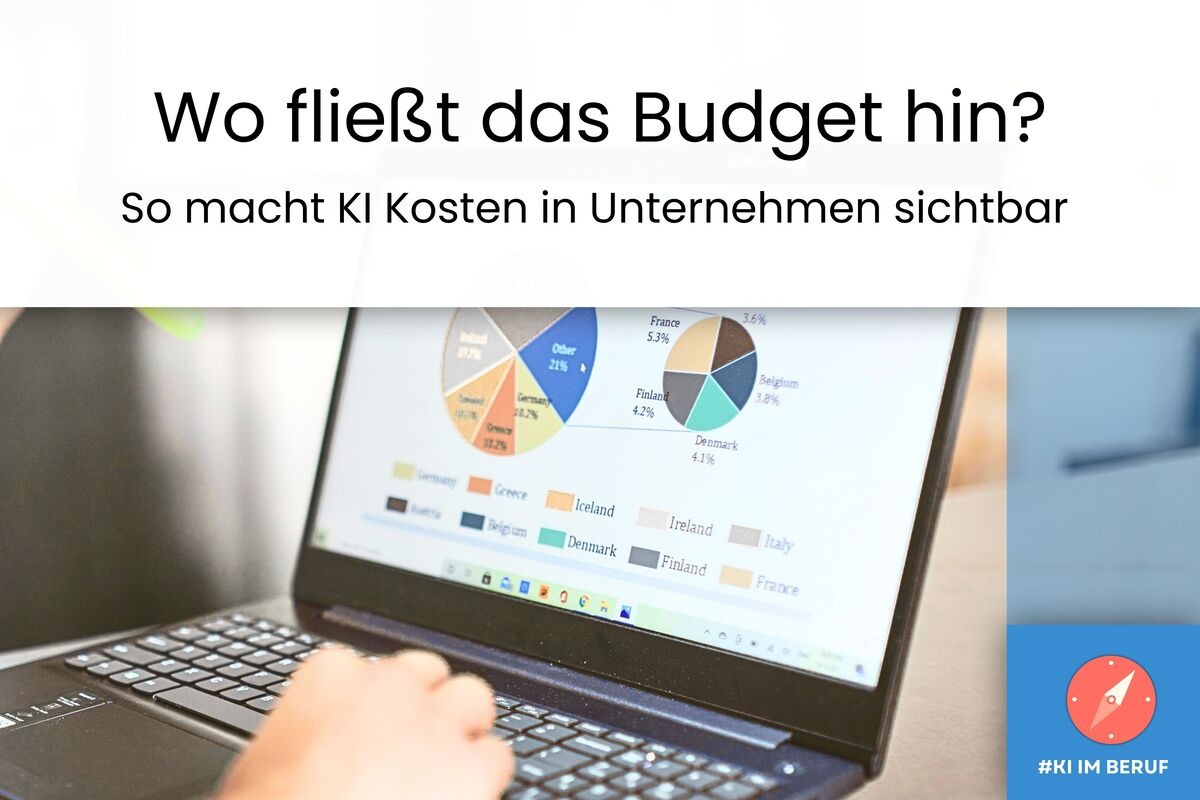 Laptop mit Diagrammen und Auswertungen zur KI-Ausgabenanalyse macht Kosten und Budgetverteilung sichtbar.